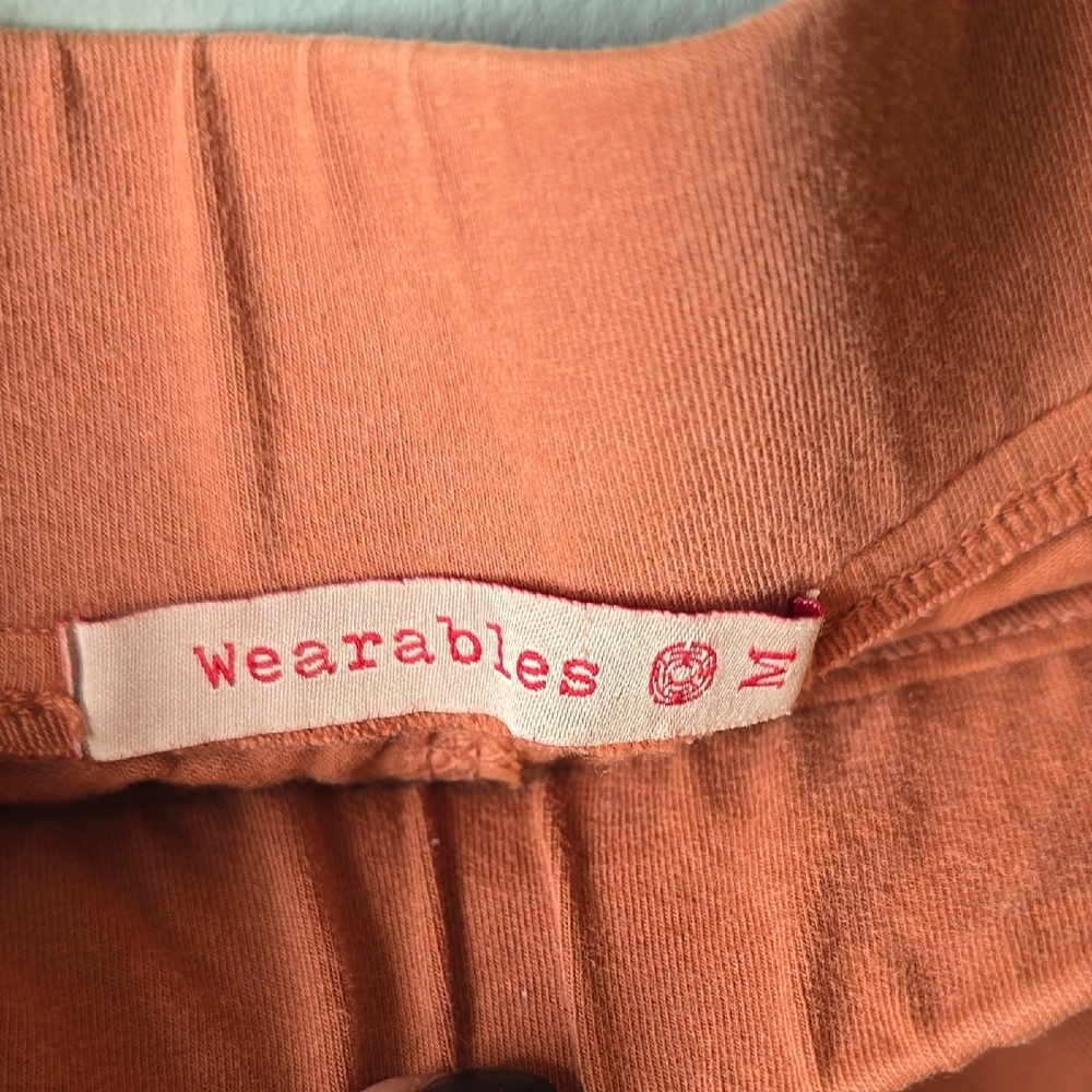 Burnt Orange Flared Pants - Picture 3 of 9